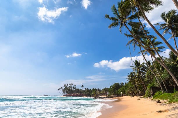istock Beach view in Unawatuna, Sri Lanka. 1131403725