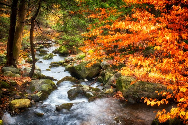 Burr Pond State Park Autumn landscape stock photo