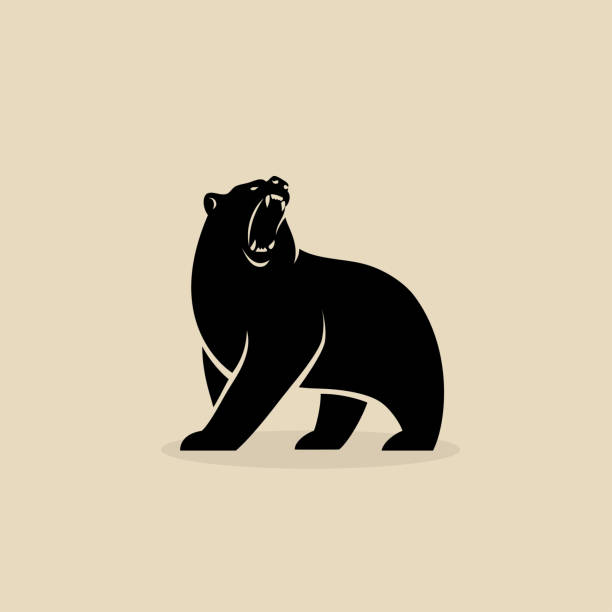 곰, 상징, 고립 된, 벡터 일러스트 - 곰 stock illustrations