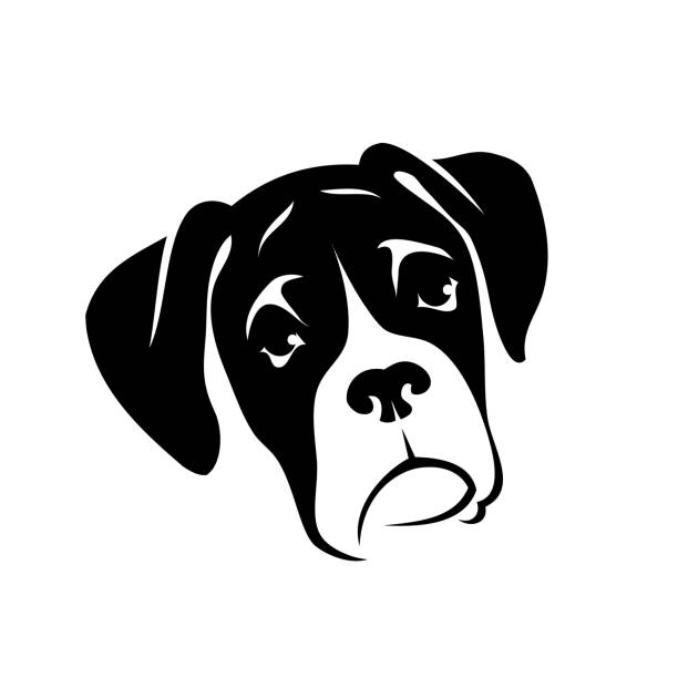 복 서 개-고립 된 설명 벡터 일러스트 - white background side view dog boxer stock illustrations