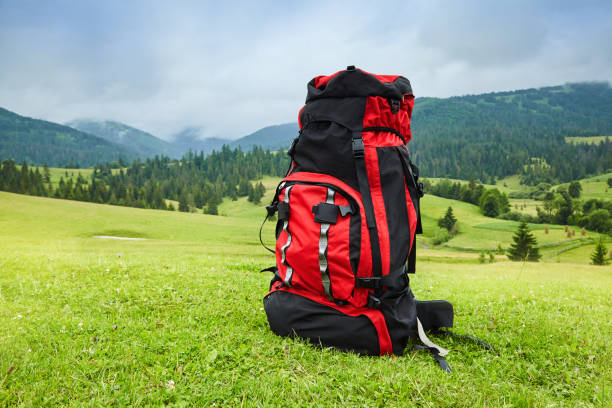 istock Travel backpack on the mountain  landscape view background. 1131414645