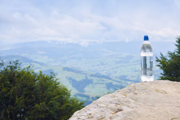 istock A bottle of pure drinking water in plastic bottle on the mountain 1131414955