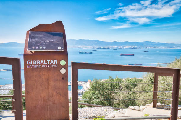 The Gibraltar Nature Reserve is a protected nature reserve in the British Overseas Territory of Gibraltar that covers over 40% of the country's land area. Gibraltar, Gibraltar - February 9, 2019: The Gibraltar Nature Reserve is a protected nature reserve in the British Overseas Territory of Gibraltar that covers over 40% of the country's land area. colony territory photos stock pictures, royalty-free photos & images
