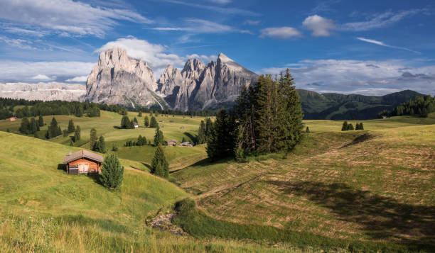istock Summer in the Dolomites mountains 1131418122