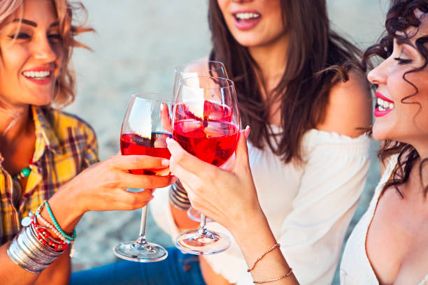 amis féminins avec le verre de vin de rose sur la plage d'été pique-niquer - meeting food nature foods and drinks photos et images de collection