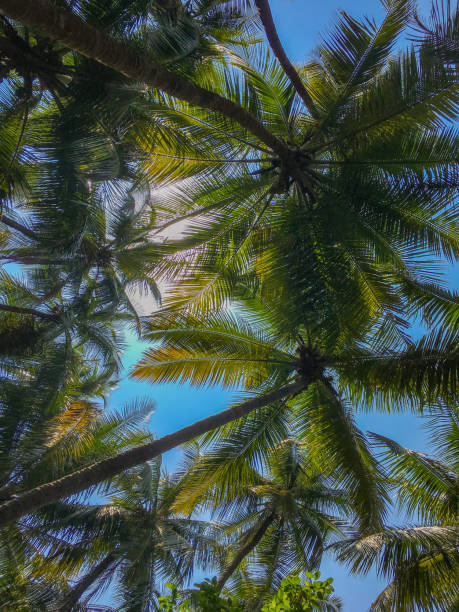 istock Vacation to Beach Shore coastline 1131422032