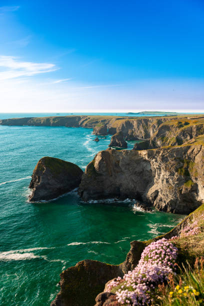 istock Cliffs near Bedruthan Steps in Corwal, United Kingdom 1131424331