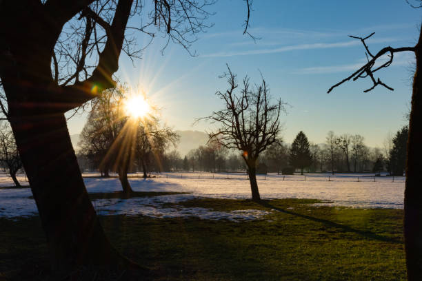 istock Sunset in the Lauteracher Ried 1131424647