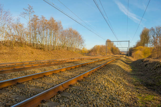 Railroad along trees below a blue sky in sunlight in winter