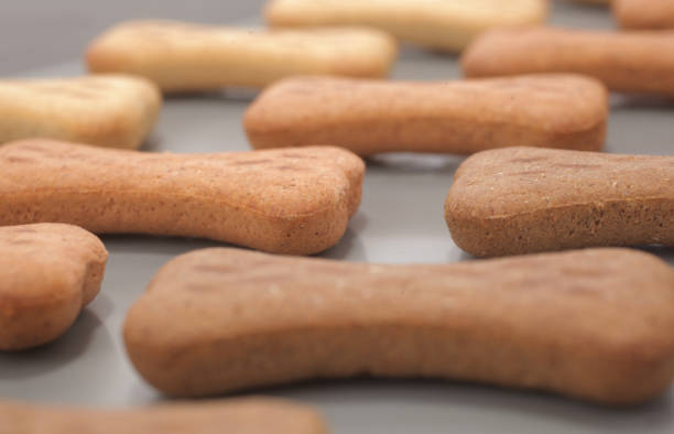 Snack food for dogs biscuits production line shaped as bone stock photo