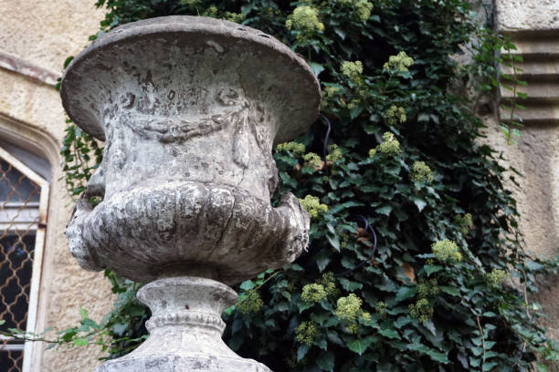 istock Old antique marble pot with ivy wall 1131428895