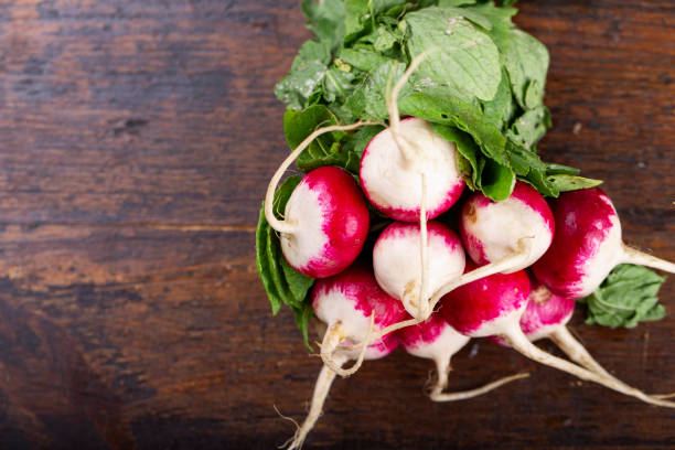 istock Summer harvested red radish. Growing organic vegetables. 1131434679