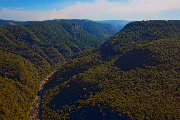 above river in the valley and rainforest landscape near gramado - southern brazil - green woods forest southern brazil imagens e fotografias de stock