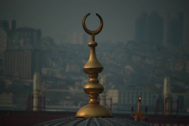 The dome of the Mihrimah Sultan mosque in Uskudar. Istanbul, Turkey - February 21, 2019
