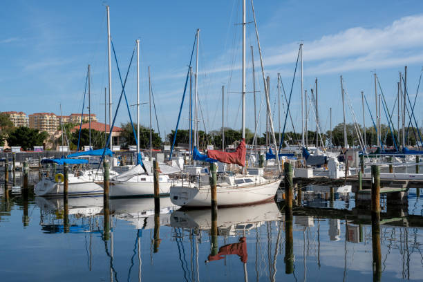 istock Marina in the Morning 1131447512