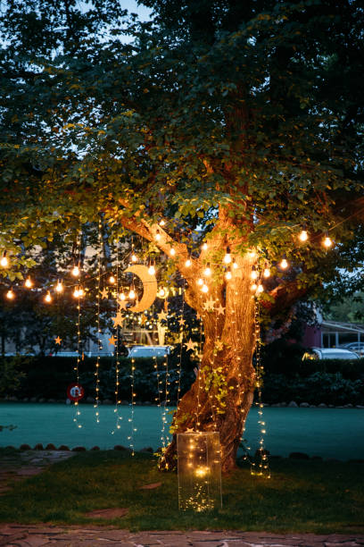 istock Tree decorated with bulbs and garlands in the evening 1131447834