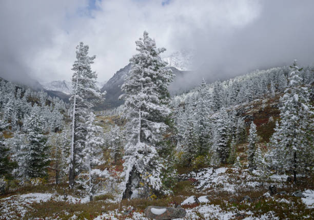 istock Autumn in mountains Eastern Sayan 1131451646