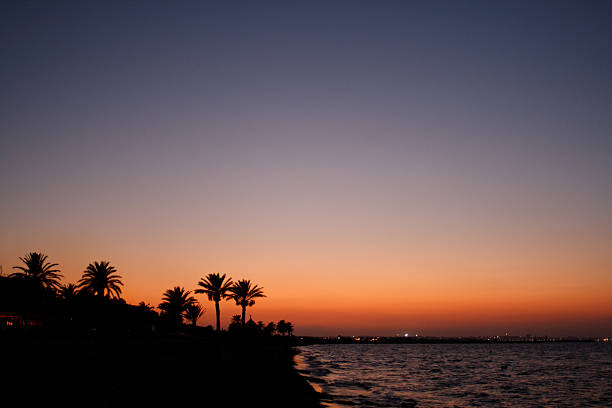 A photographic image of a sunset over a beach in Monastir, Tunisia.  A line of dark silhouetted palm tree tops highlights the left side of the image.  In the center foreground, the dark beach meets the water.  The lower right portion of the photo features a body of water with short rolling waves.  The distant horizon is positioned low in the image, and distant city lights are visible beyond the water on the right.  A thin sliver of brilliant burnt orange light highlights the sky just above the horizon.  The orange fades into smoky gray with deep blue ascending to the top of the image.