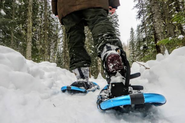 una vista del suolo e il primo piano delle gambe e dei piedi di una persona che indossa belle ciasli mentre camminano con lo splendido paesaggio invernale e le foreste innevate di fernie, nella columbia britannica, in canada. - snowshoe foto e immagini stock