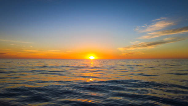 カ�イコウラでイルカの出会い - marlborough region sunrise new zealand sea ストックフォトと画像