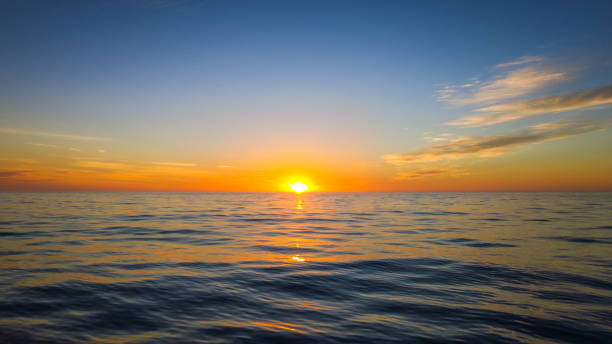 istock Dolphin Encounter in Kaikoura 1131457774
