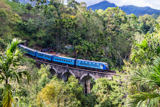 istock Famous Demodara Nine Arch Bridge. Ella, Sri Lanka. 1131458030