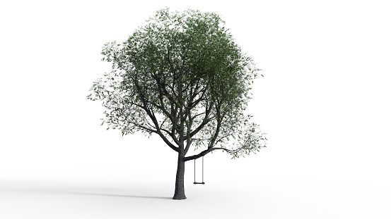 Isolated tree on White background with swing