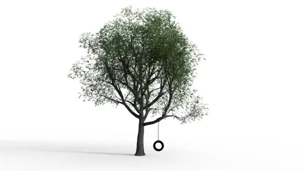 Isolated tree with tire swing on white background