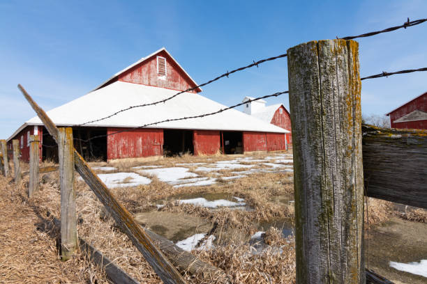istock Old wooden fence line 1131460629
