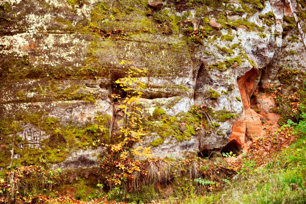 Gorge of red sandstone overgrown with moss and lichen