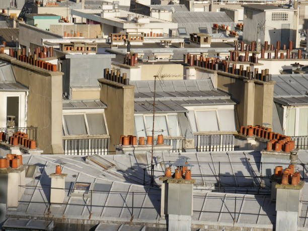 istock Above the rooftops of Paris, a small section 1131465894