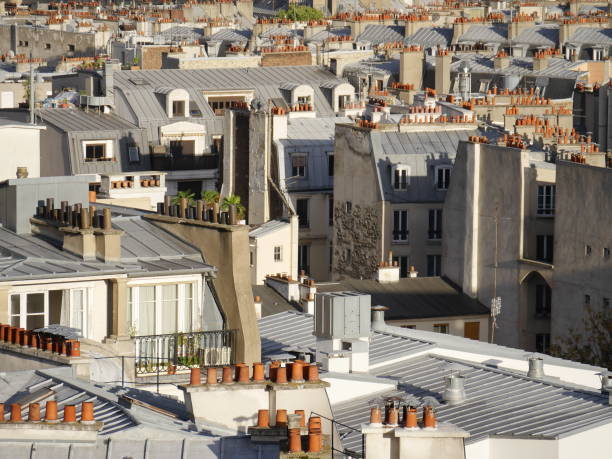 many details on the rooftops of paris, chimneys, antennas, fenter, balconies, roof gardens - television aerial roof antenna city imagens e fotografias de stock