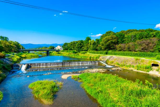 istock Kamogawa River in Kyoto 1131466895