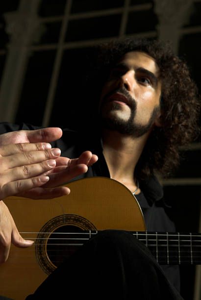 sensazione di flamenco - male singer singing men foto e immagini stock