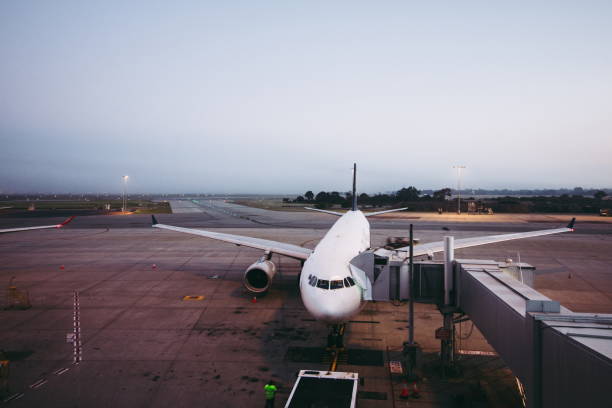 istock Airplane at the airport 1131466941