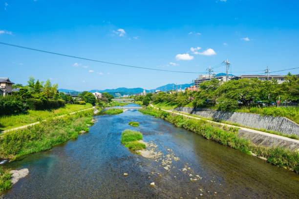 istock Kamogawa River in Kyoto 1131466996