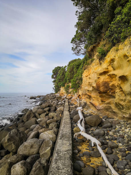 istock The Coast Walk in New-Plymouth 1131467077