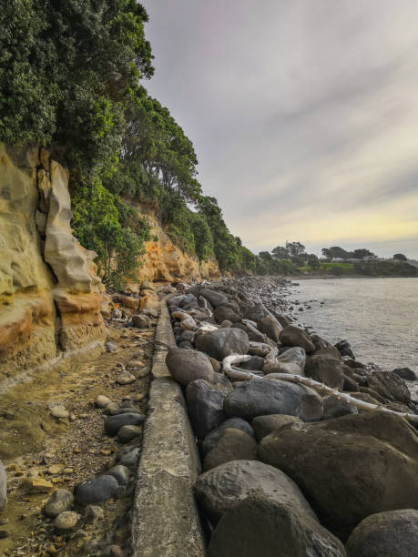 istock The Coast Walk in New-Plymouth 1131467082