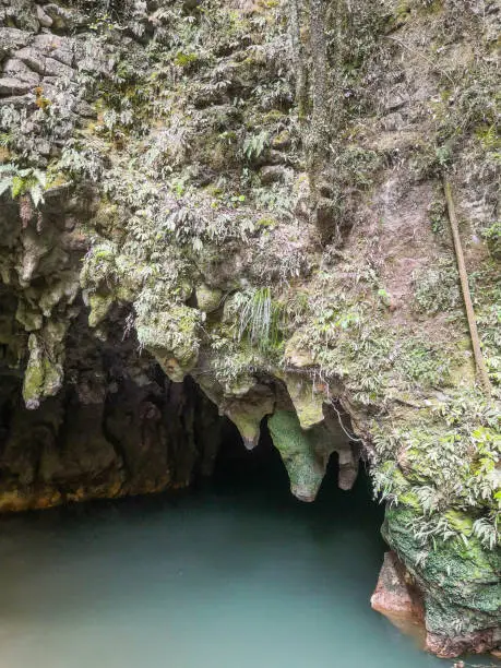 THe Glow Worm Cave of Waitomo on the North Island