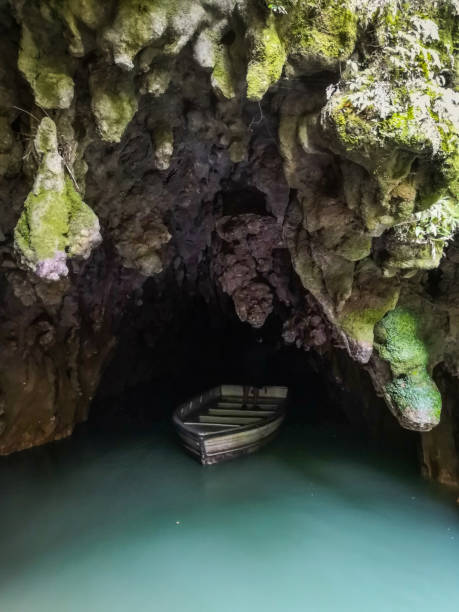istock Waitomo Caves in New-Zealand 1131469415