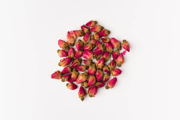 istock tea rose buds  isolated on white background, top view 1131472759