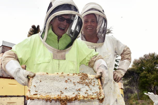 蜂の巣のスーツのシニア女性 - beehive rural scene bee outdoors ストックフォトと画像