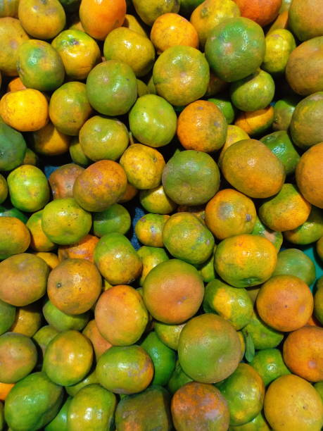 istock Fresh tangerine orange fruits 1131474111