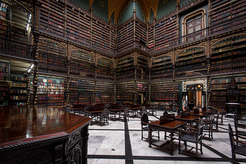 Book shelves inside a library with nobody. Empty institution with books shelves. School library with no students