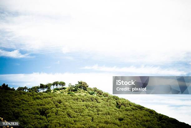 Photo libre de droit de Et En Bas banque d'images et plus d'images libres de droit de Arbre - Arbre, Beauté de la nature, Bois