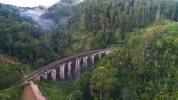 istock Famous Demodara Nine Arch Bridge. Ella, Sri Lanka. 1131480183