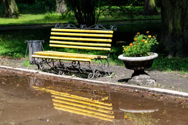 Lviv, Ukraine Historic Ukrainian city in old town with alley and nobody empty park during summer day to High Castle Hill with yellow bench and puddle reflection