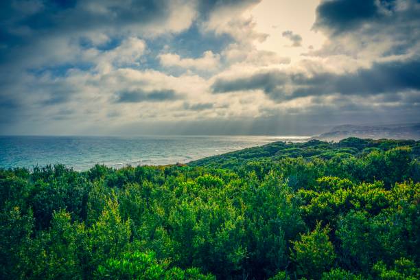 Picture shows the view on the ocean in Australia.