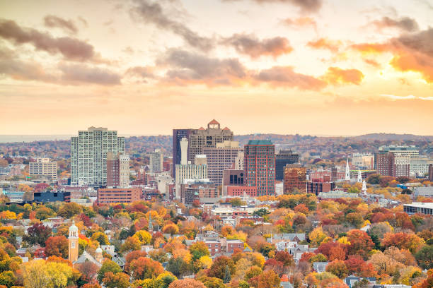 istock Downtown New Haven from East Rock Park 1131482656