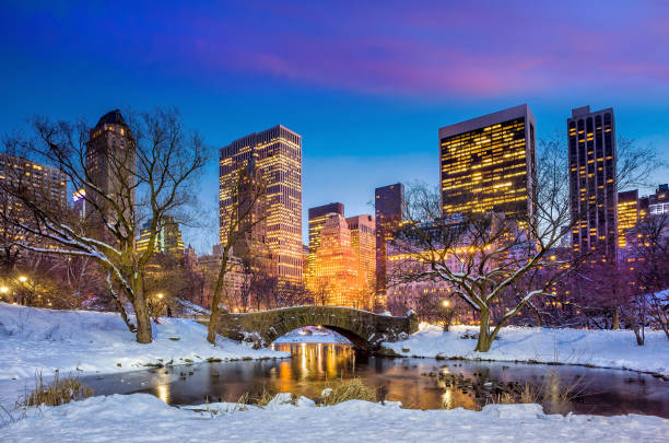 istock Gapstow bridge in winter 1131482662